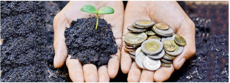 모니를 들고 있는 손